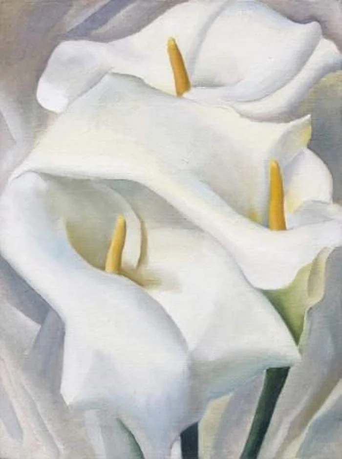 Georgia O'Keeffe - Calla Lilies