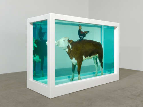 Cock and Bull - Damien Hirst