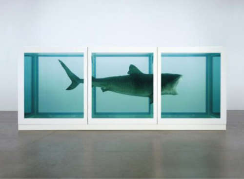 Shark - Damien Hirst
