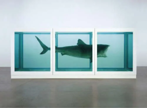 Shark - Damien Hirst