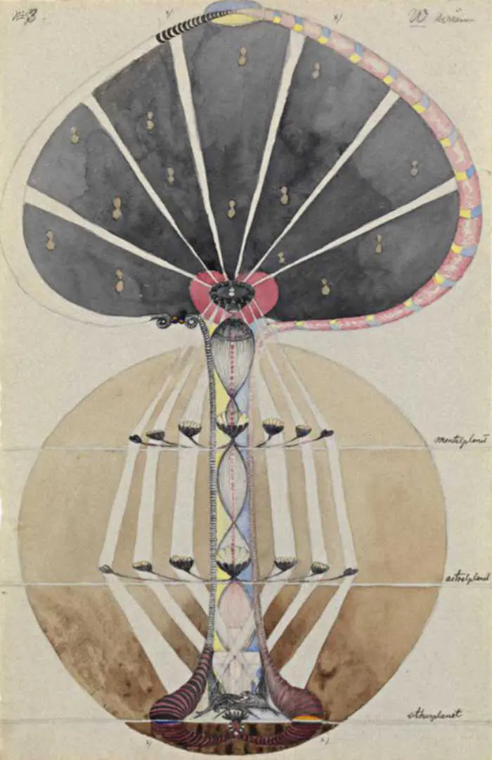 Hilma Af Klint - tree No3