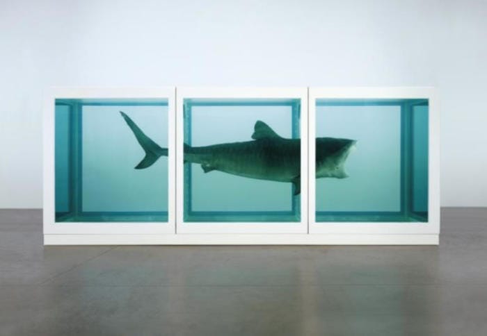 Damien Hirst - The Physical Impossibility of Death in the Mind of Someone Living. 1991
